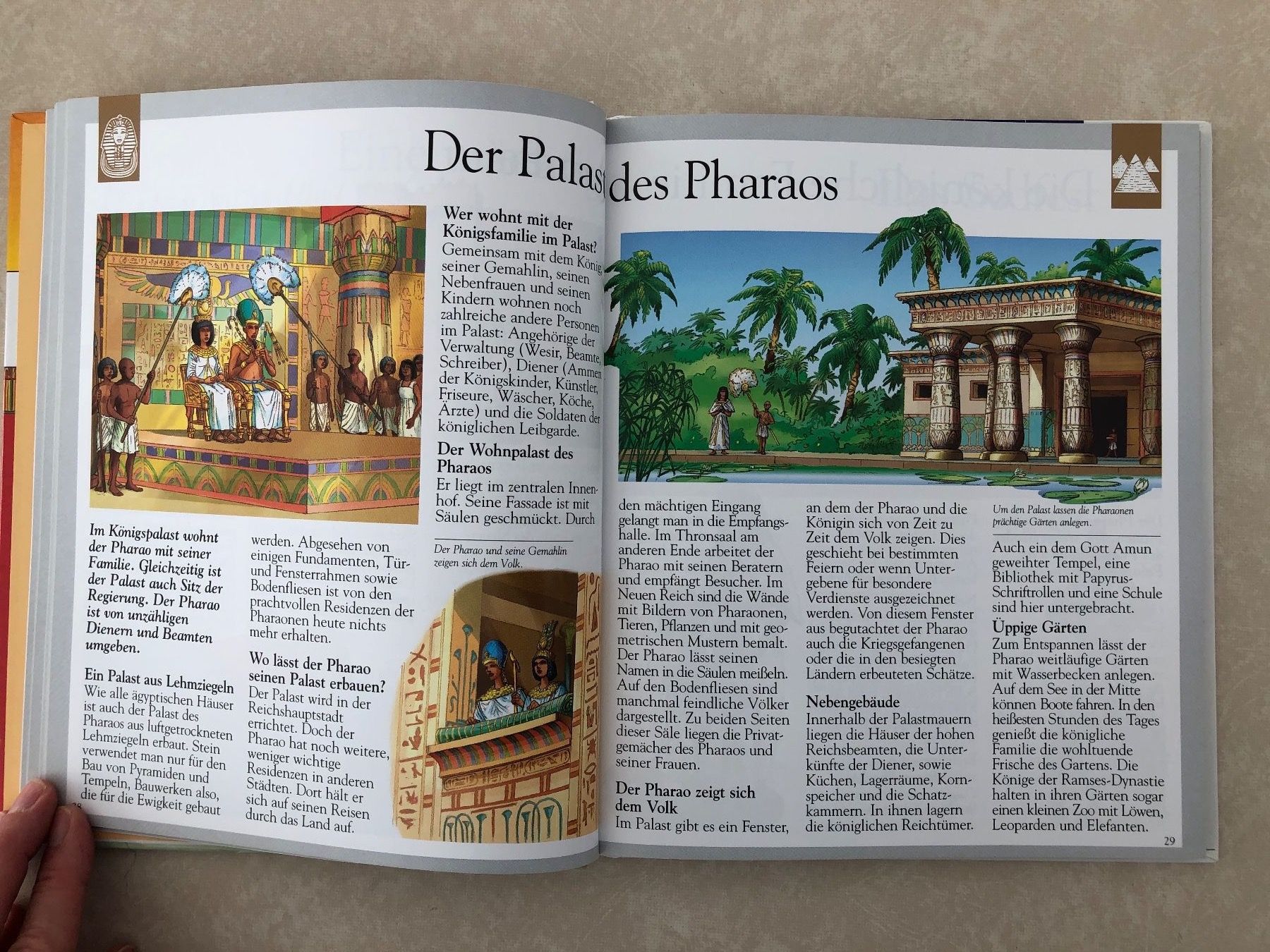 Libri: Kinderbuch über Ägypten – Nuovo (secondo la descrizione) da Balzers venduto da Kubus 4