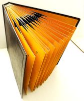 Album mit 12 Schellackplatten grosser Opern-Diven