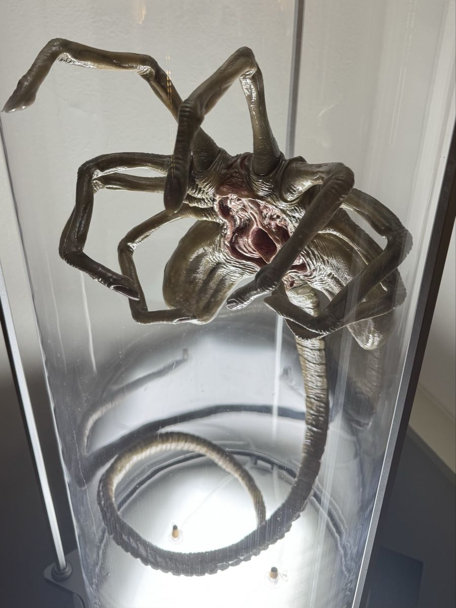 Figuren: Alien Facehugger Stasis Chamber Life Size 1/1 Statue – Neu und originalverpackt aus Zürich von Addii 5