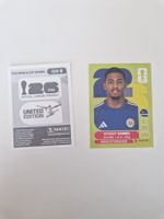 Panini Sticker CUW8