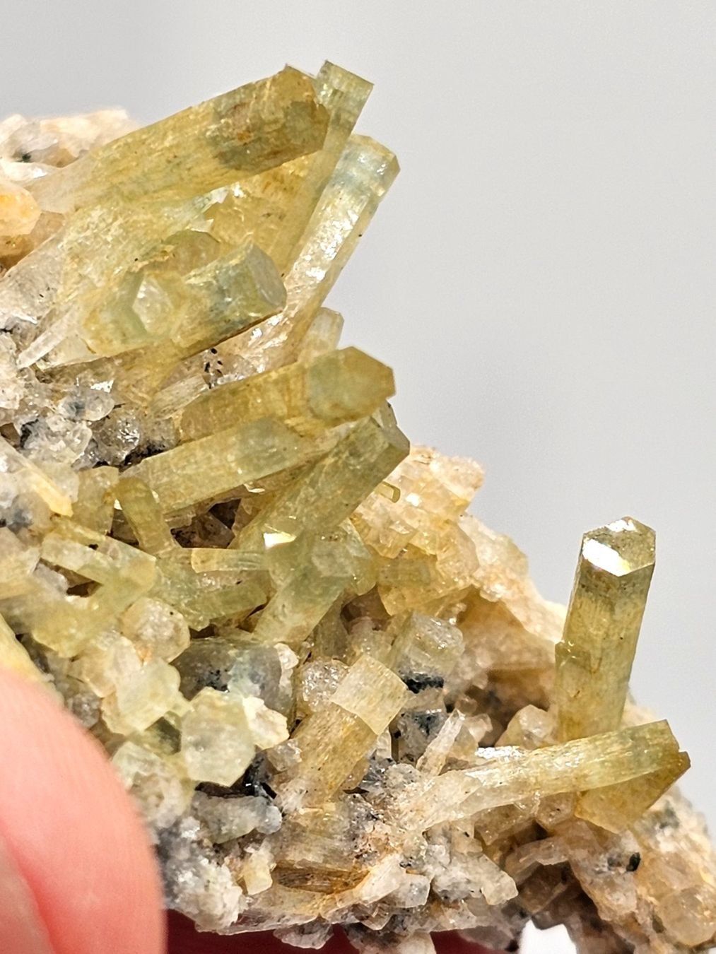 Mineralien & Heilsteine: Heliodor/Aquamarin mit Turmalin aus Namibia. – Gebraucht aus Figino von minshop 4