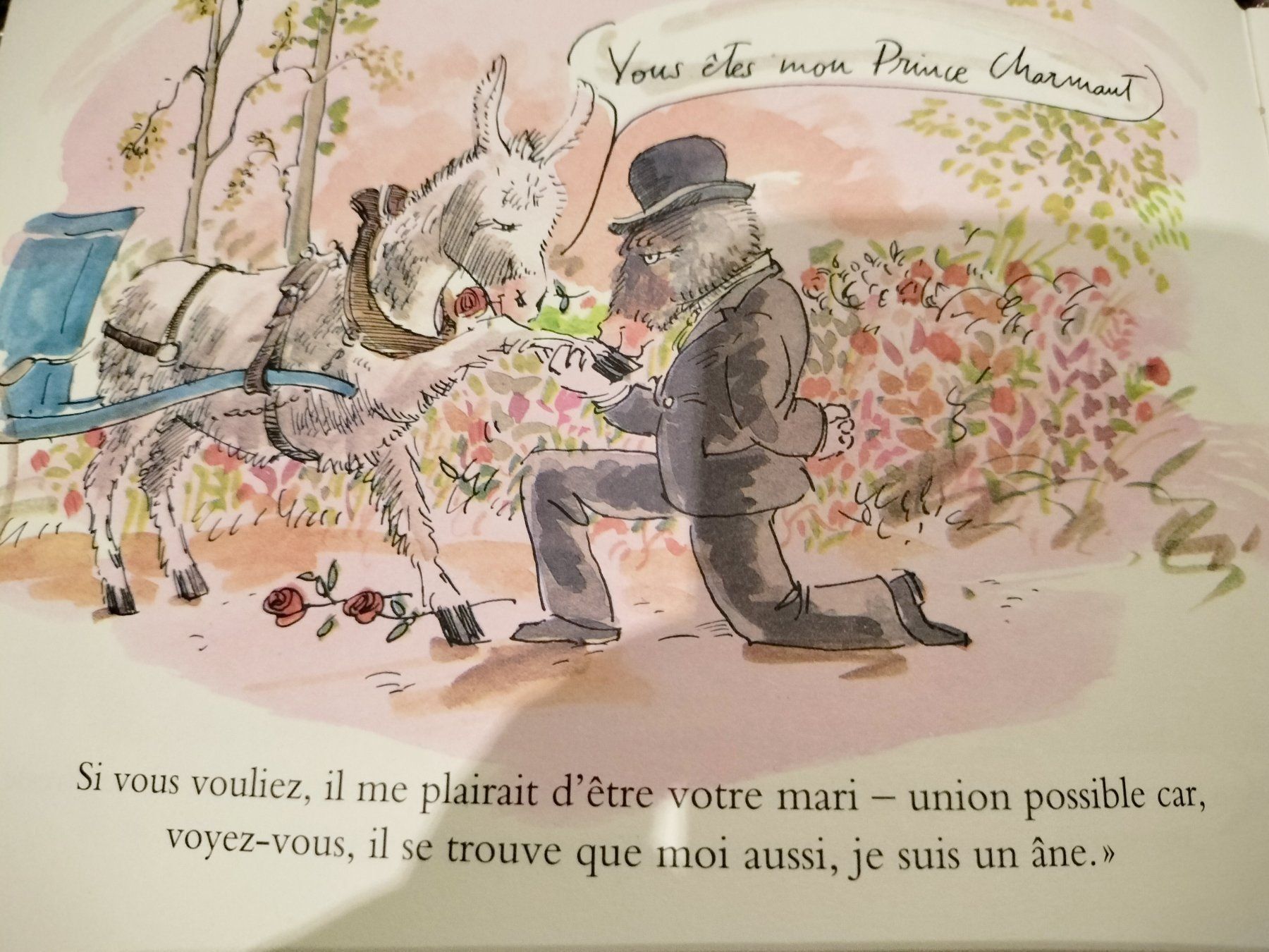 Livres: Histoire D Edouard Par Philippe Dumas dès 6 ans – D'occasion à Cortaillod par rozinna 7