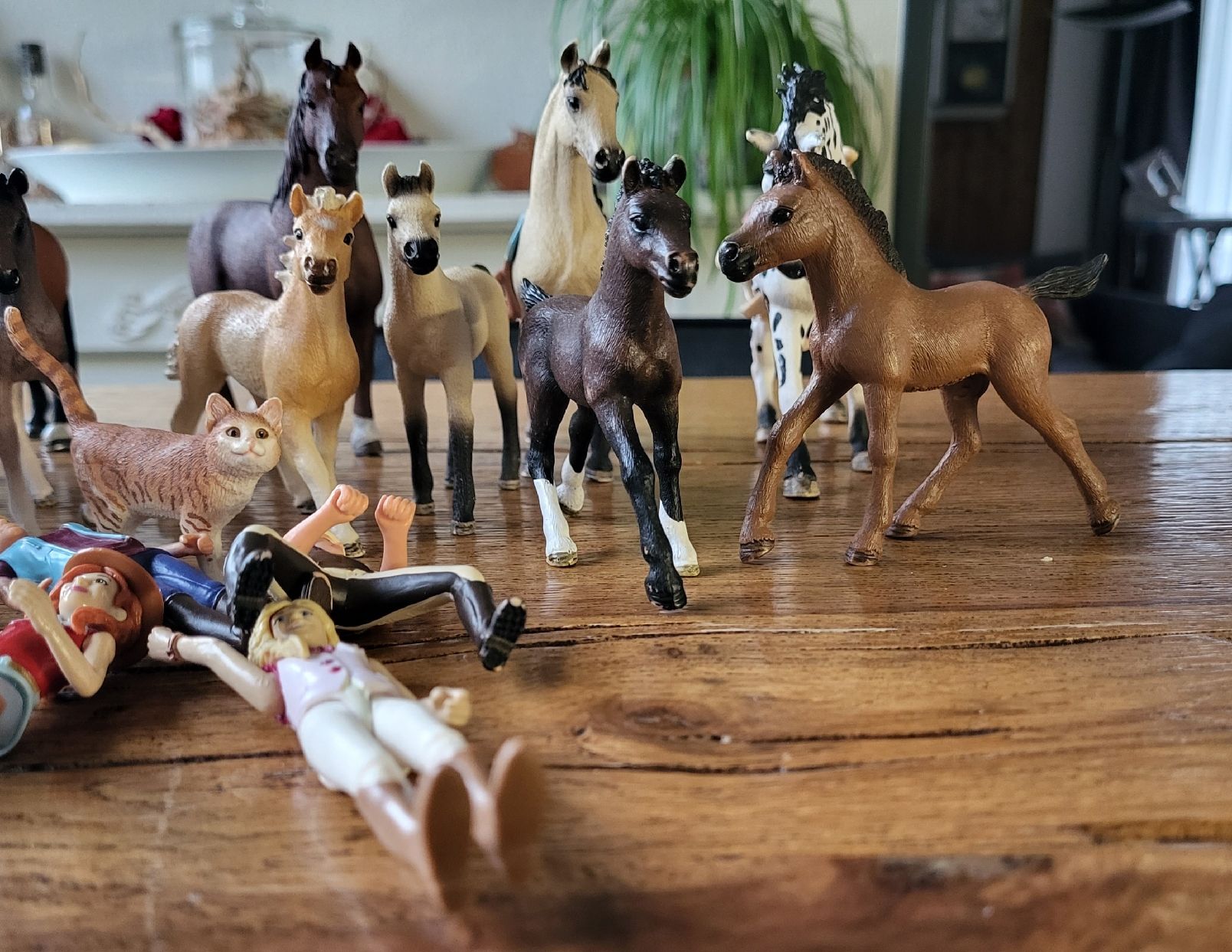 Schleich Statuette: Lot SCHLEICH Figuren – Usato da Kägiswil venduto da Megafi56 1