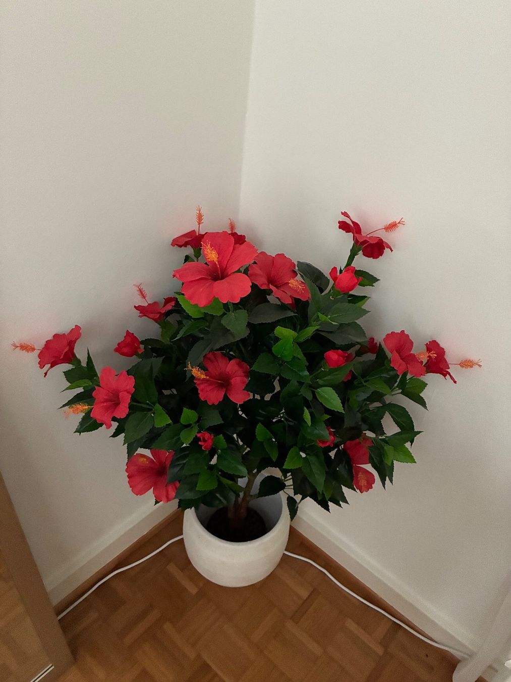 Piante & sementi: Dekorativer künstlicher Hibiskusbaum – Usato da Olten venduto da let_tg5j 1