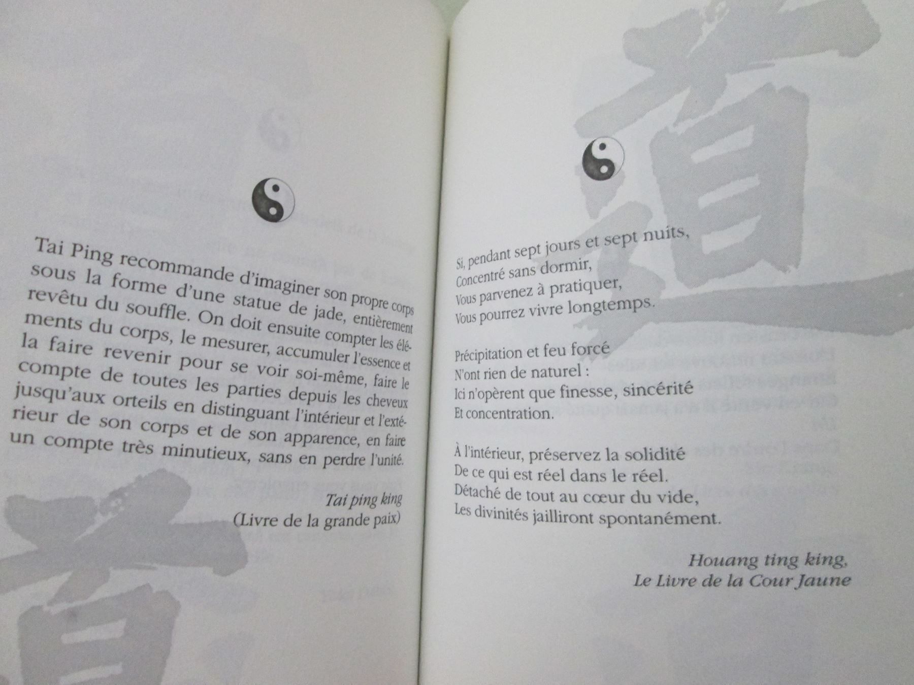 Bücher: Méditations du Tao – Gebraucht aus Neuchâtel von Dualseele 5