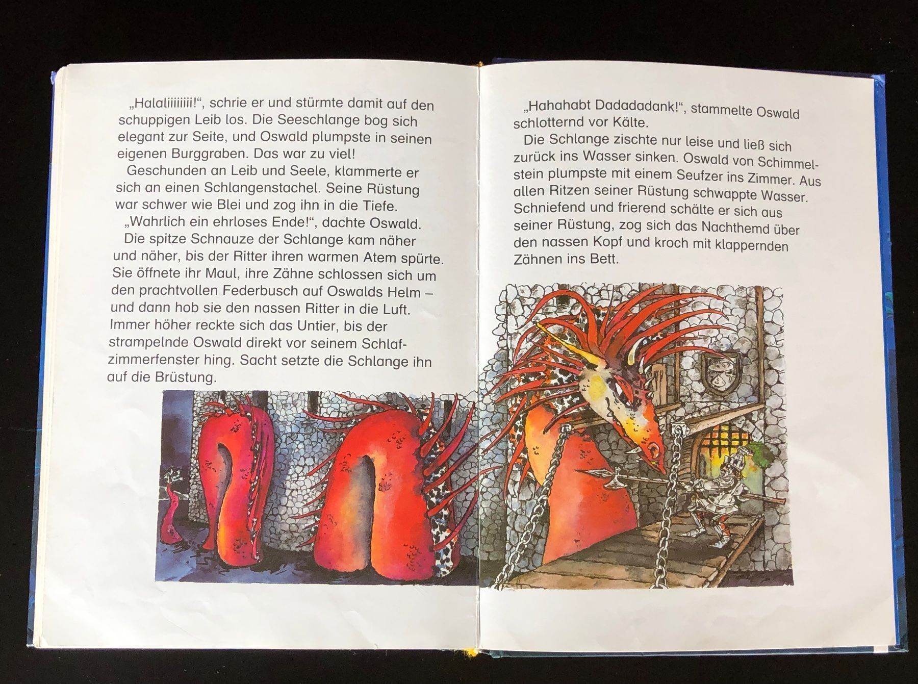 Libri: DAS SUPER  GRUSELBUCH / LESELÖWEN – Usato da Nussbaumen AG venduto da schuba2000 8