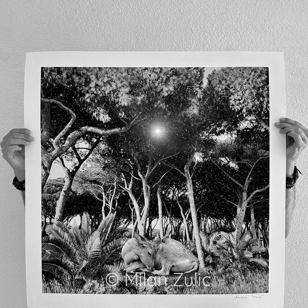 Foto & Immagini: Travel postcards 001 – Nuovo (secondo la descrizione) da Uetikon am See venduto da mil_7k2b 1