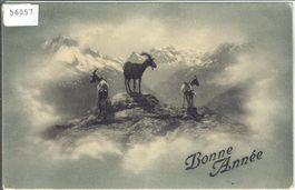 Sur les sommets - Ziegen, chevres - Bonne Annee