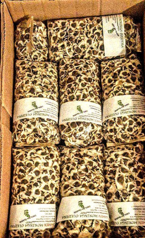 Piante & sementi: Moringa Samen oleifera PKM1 – Nuovo (secondo la descrizione) da Luzern venduto da ivo_schild