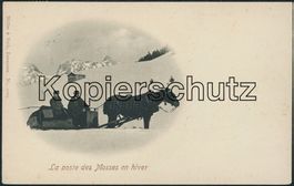 VD Les Mosses - Postkutsche - Pferdeschlittenpost