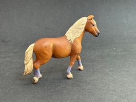 Haflinger Stute Pferd
