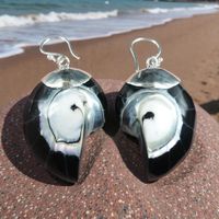 Wunderschöne dunkle Nautilus Ohrringe 925 Silber NEU