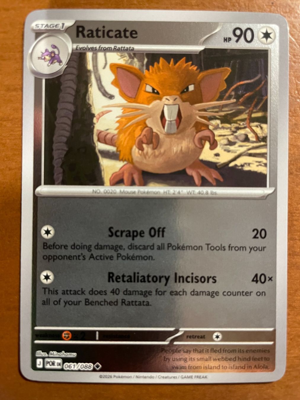 Pokémon Carte collezionabili: Pokemon Raticate Reverse (Versand gratis) – Nuovo (secondo la descrizione) da Chur venduto da Angerson