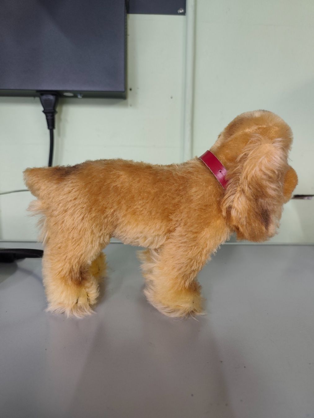 Steiff Giocattoli: Stofftier Steiff Hund " Cockie " – Usato da Goldswil b. Interlaken venduto da troedlermarkt-goldsw 2