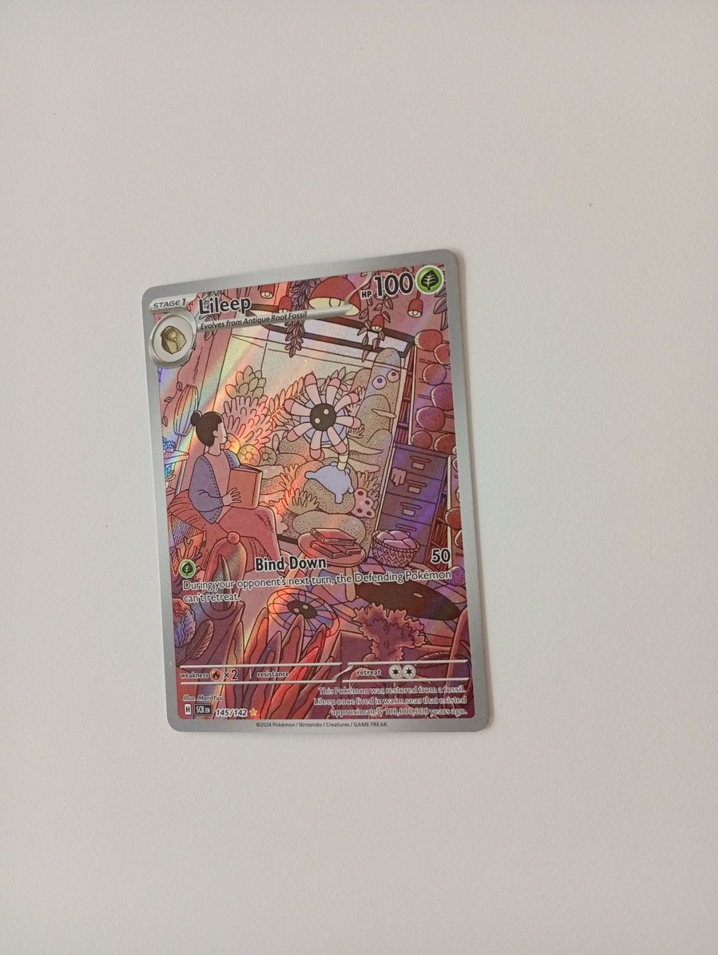 Carte collezionabili: Pokémon 2025 /2024 en lot – Usato da Villars-sur-Glâne venduto da dadj01 4