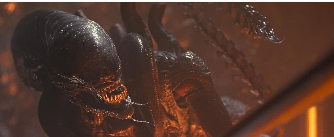 Alle DVDs: Alien Romulus - 4K Ultra HD Blu-ray (2024) – Gebraucht aus Rüfenacht BE von  7