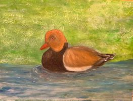 Serie „Seltene Vögel der Schweiz“ Nr. 4/Rotbrustgans