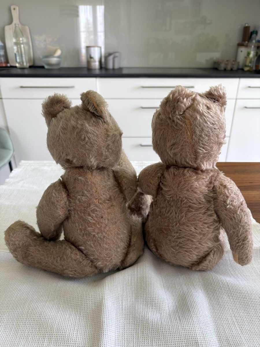 Steiff Spielzeuge: Steiff Teddys – Gebraucht aus Schönenberg ZH von Roxana8820 1