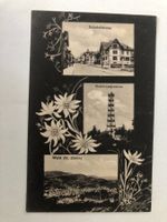 Wald ZH Bahnhofstrasse Bachtel Aussichtsturm 191*