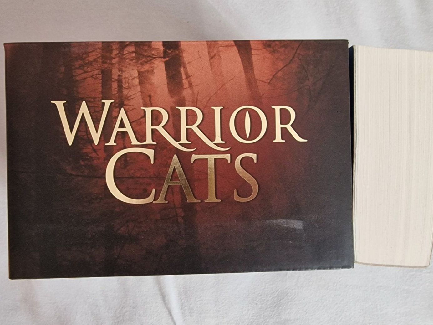 Livres: Warrior Cats Bücher Box – D'occasion à Gams par Lorize 1