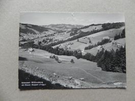 Ansichtskarte Karte Ebnat Kappel Schwand Wintersberg SG 1964