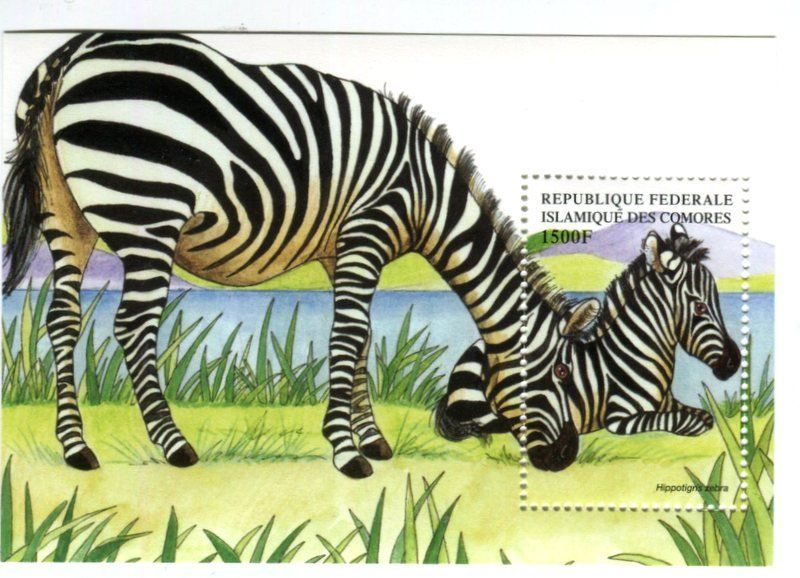 Alle Briefmarken: Block "Zebra". Komoren – Neu und originalverpackt aus Basel von Butsch5