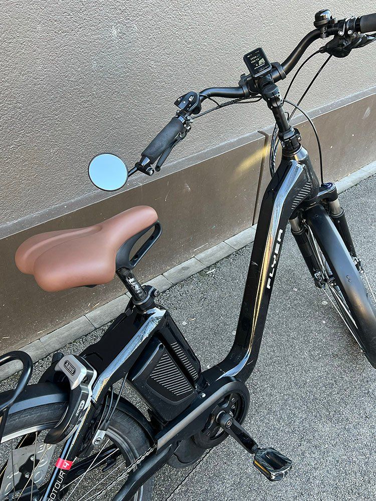 Flyer Biciclette: Vélo électrique Flyer GoTour4 45km/h – Usato da Genève venduto da Occaze 6