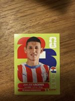 Panini Fifa PAR 6