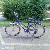 Wheeler Trekkingrad – 24 Gänge (3×8)