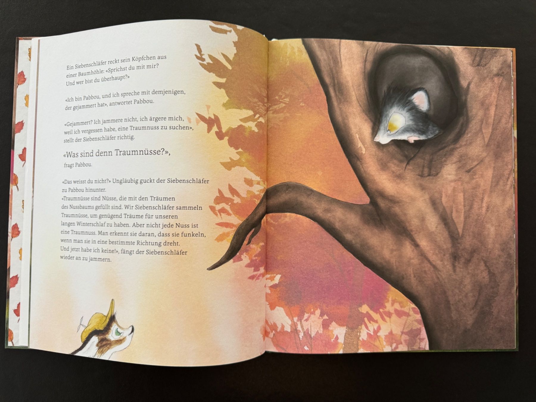 Libri: 2 x Kinderbuch - Kater Pabbou – Nuovo (secondo la descrizione) da Zollikon venduto da Krenapf 2