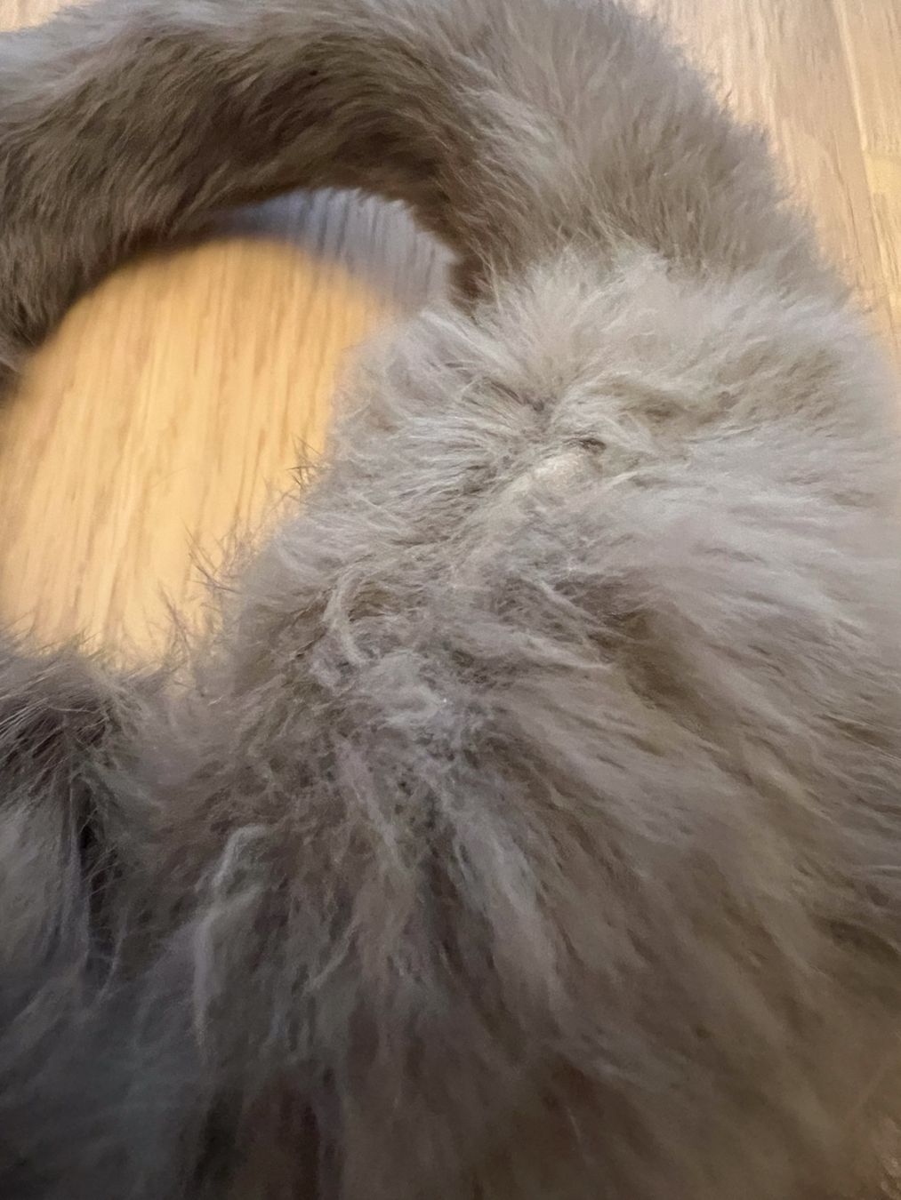 Hüte, Mützen & Caps: Cache oreilles en lapin – Gebraucht aus Losone von Misssslucie 3