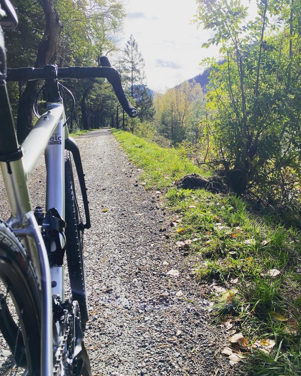 Cannondale Velos: Cannondale Gravel Topstone MRC  – Gebraucht aus Muttenz von Mesmerized