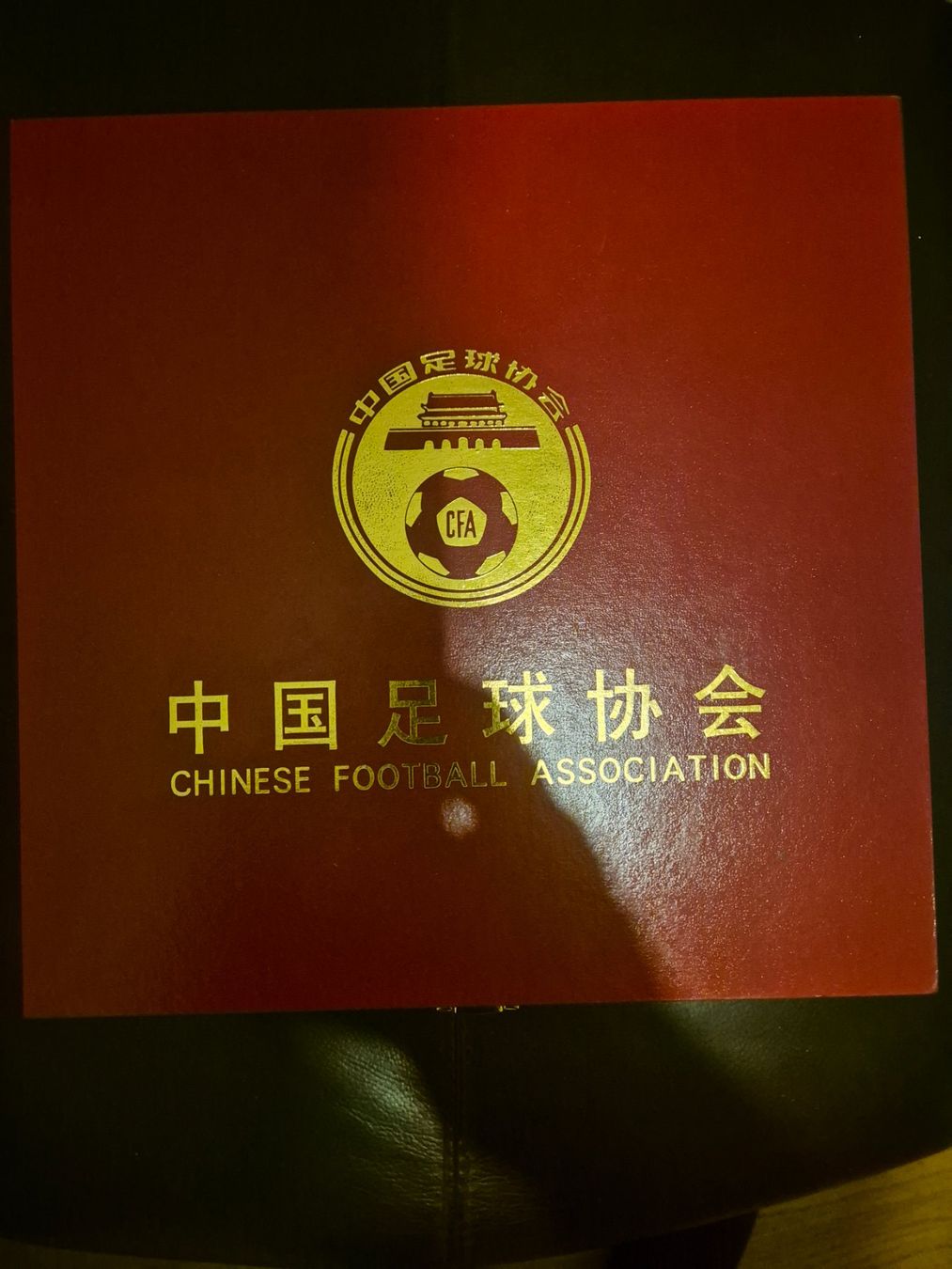 Medaglie: Memorabilia China FA – Usato da Fällanden venduto da Raphi8053 1