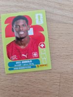 Panini Sticker SUI 17