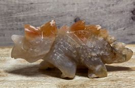 Cherry Achat Triceratops 268g