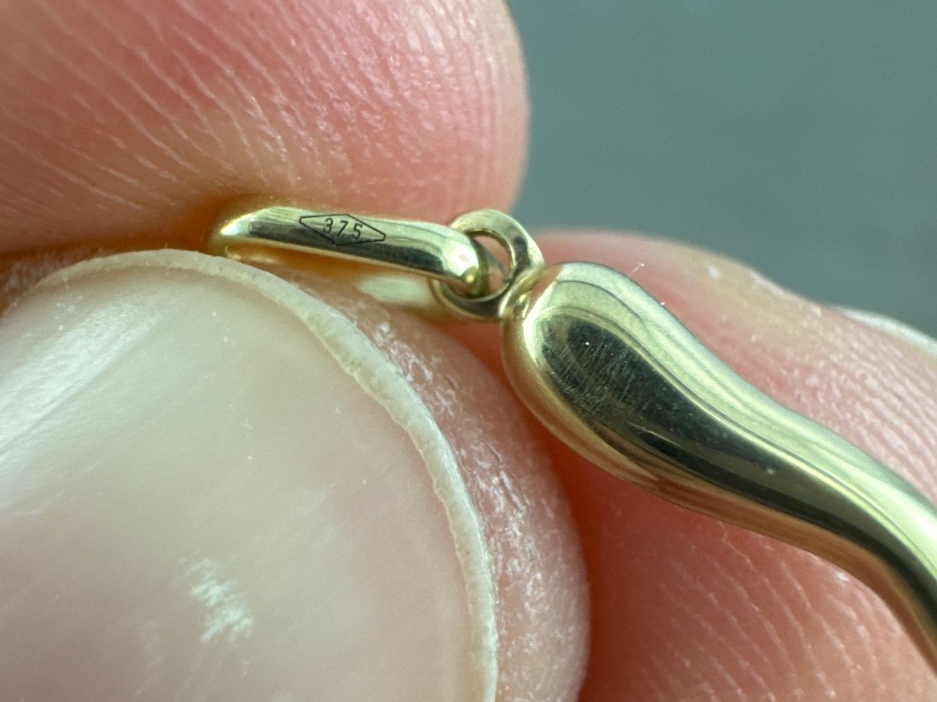 Anhänger: Anhänger 375 Gold – Gebraucht aus Niederuzwil von leo_8857 1