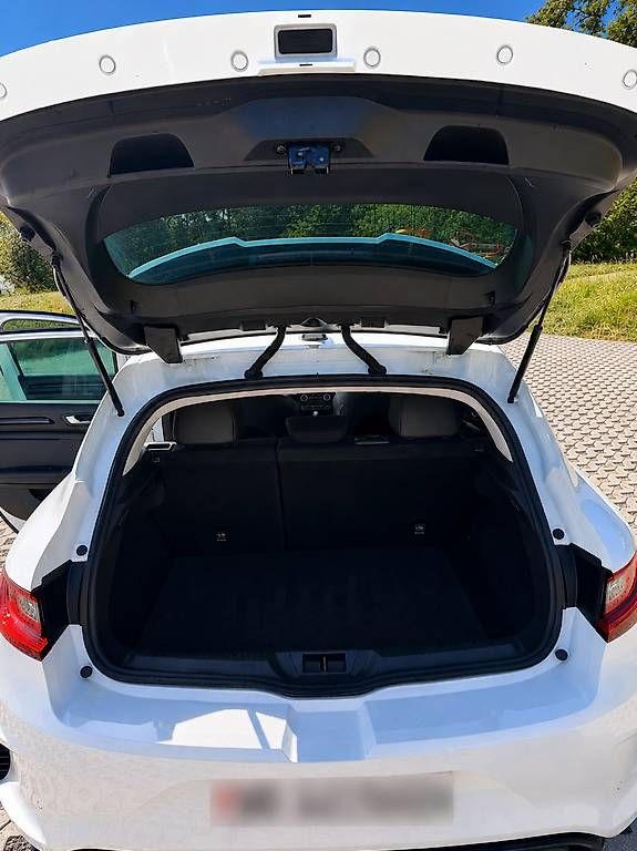 Automobili: Renault Mégane 4 RS – Usato da Puidoux venduto da max_ty2p 9