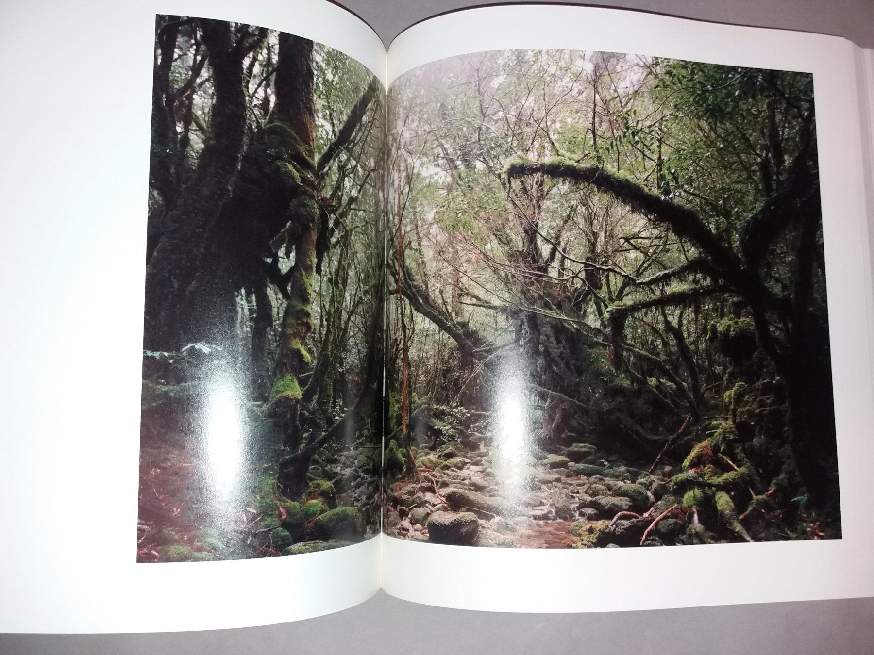 Libri: FOTOKLASSIKER Thomas Struth Zürich – Usato da Welschenrohr venduto da Regool 7