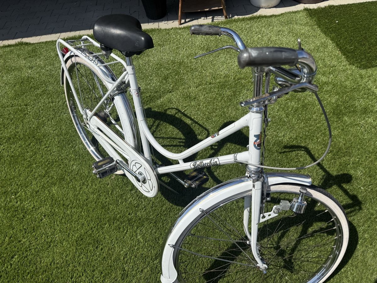 Biciclette: Bahnhof Velo – Usato da Horriwil venduto da Carrera68 3