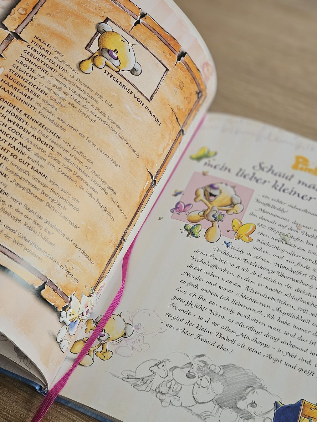 Livres: Diddl Buch – Neuf (Voir description) à Brittnau par Ro-Sa1902 3