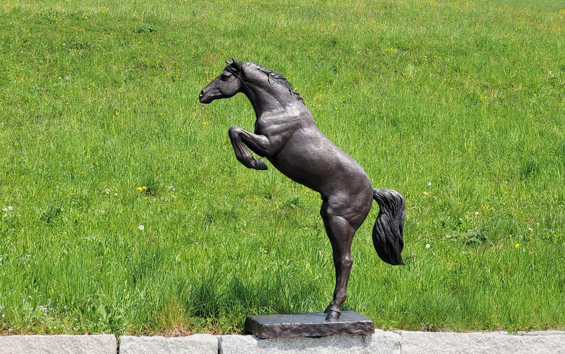 Skulpturen & Statuen: Bronzeskulptur 'Springendes Pferd' – Neu (gemäss Beschreibung) aus Stäfa von Satinoir 4