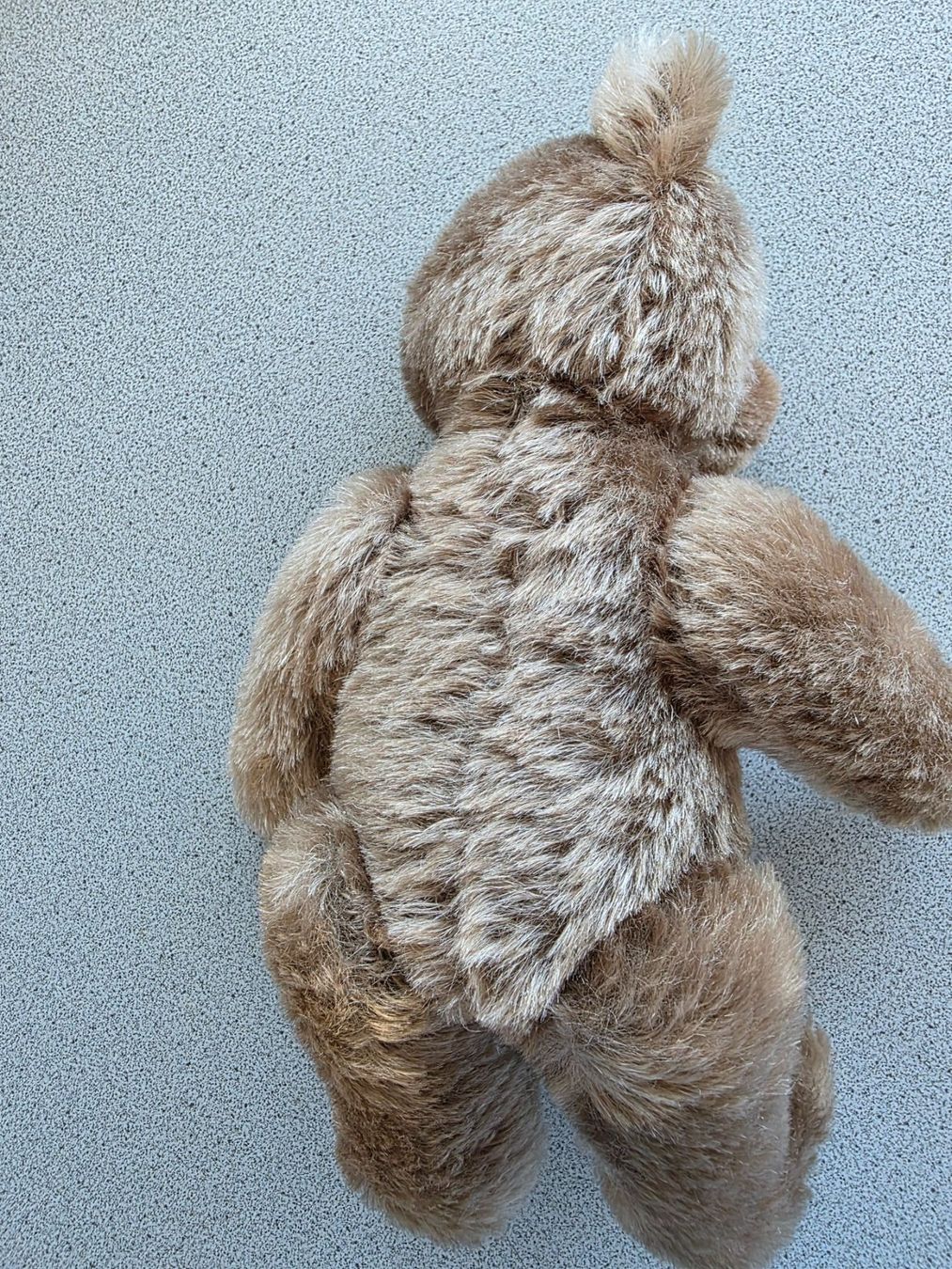 Steiff Giocattoli: STEIFF Teddy 25 cm, nicht bespielt – Usato da Burgdorf venduto da Liss 2