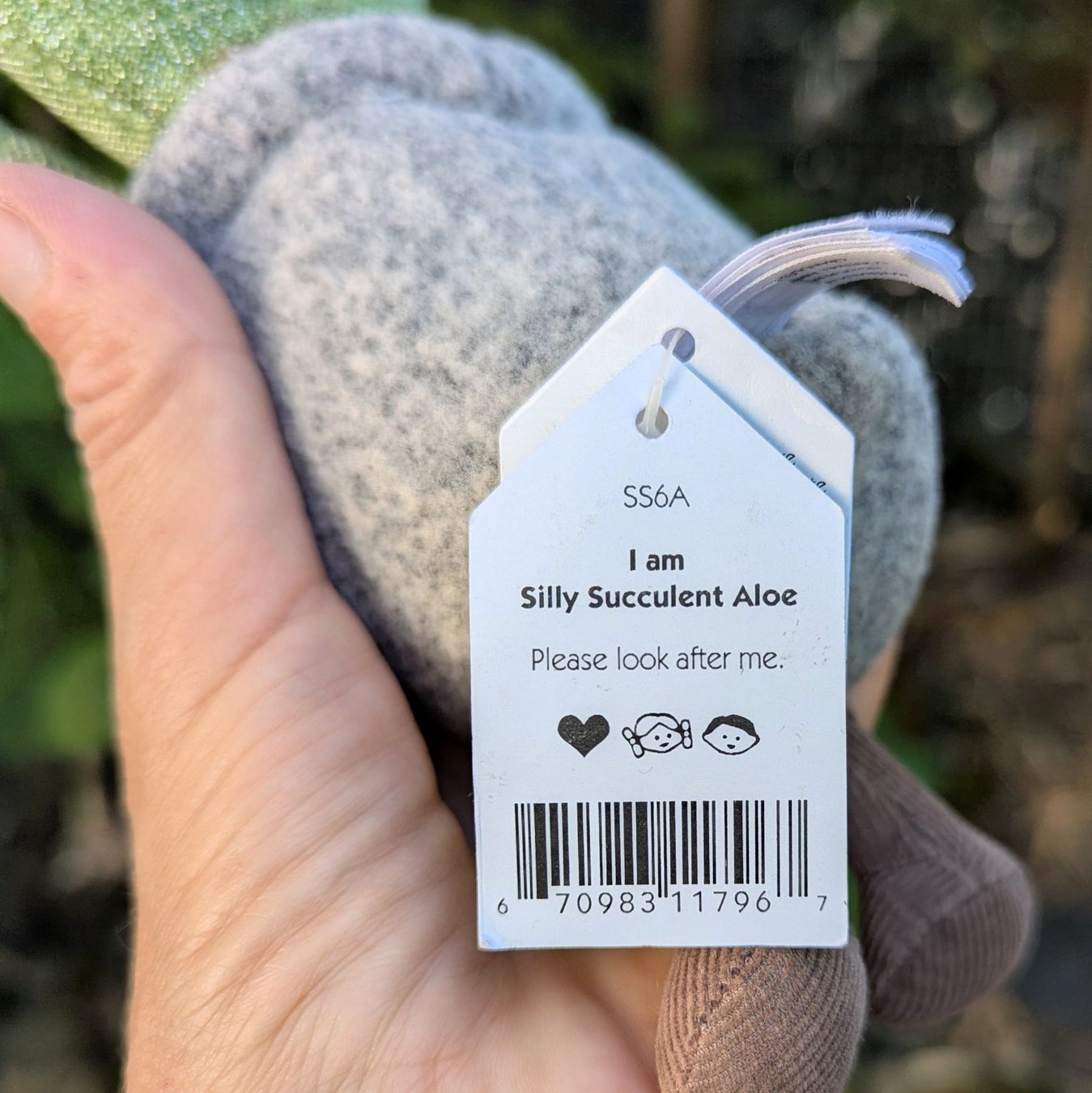 Jellycat Giocattoli: Jellycat Silly Succulent Aloe – Usato da Bertschikon Gossau venduto da Tokibunny 3