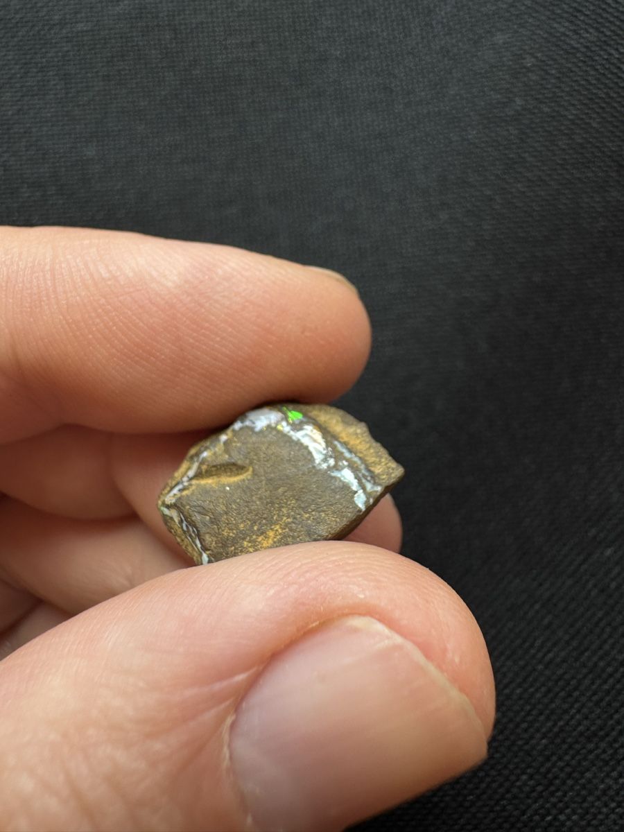 Pietre preziose: Boulder Opal Lot 2, 97.65 ct – Nuovo e nell'imballaggio originale da Wängi venduto da Horus90 7