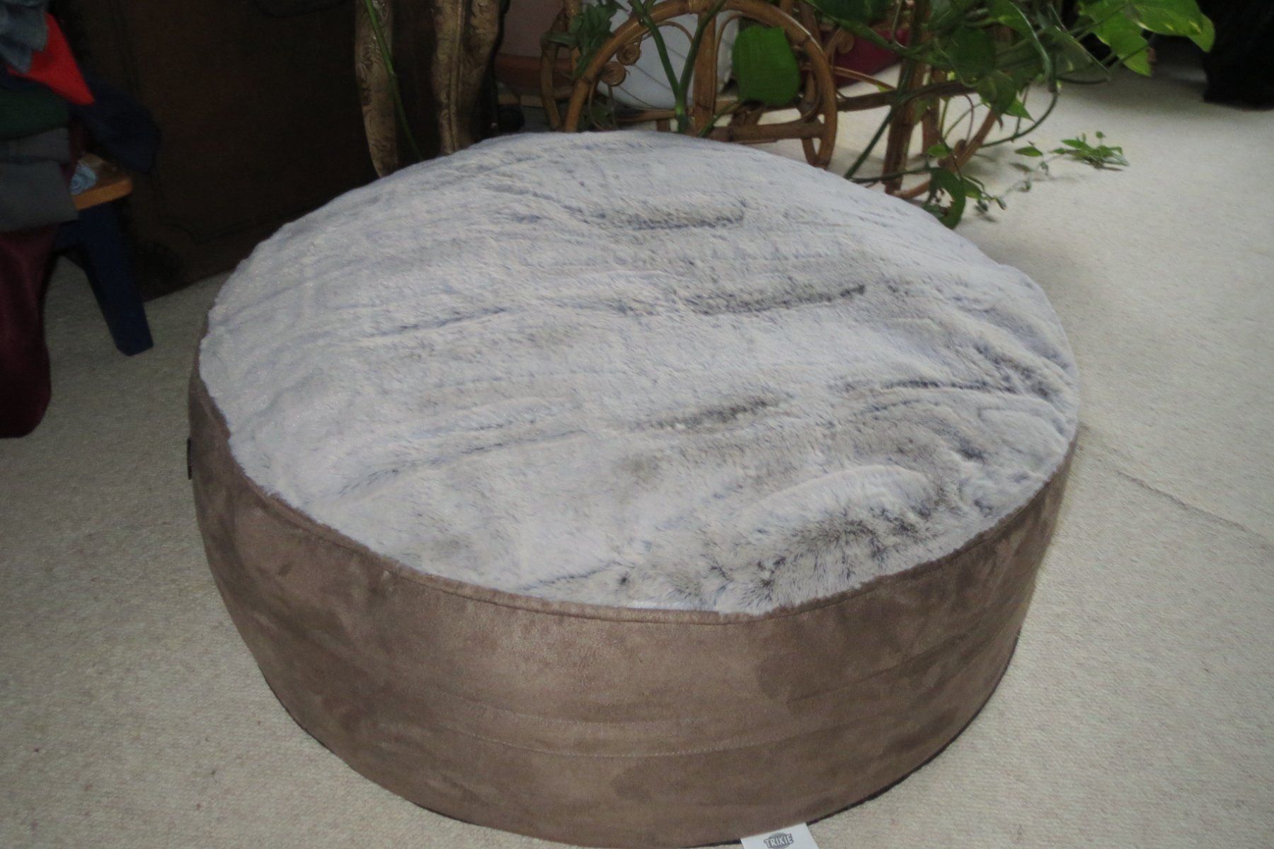 Trixie Cucce & Letti: Katze- oder Hundebett / neu – Nuovo (secondo la descrizione) da Herisau venduto da fan_h9qj 5