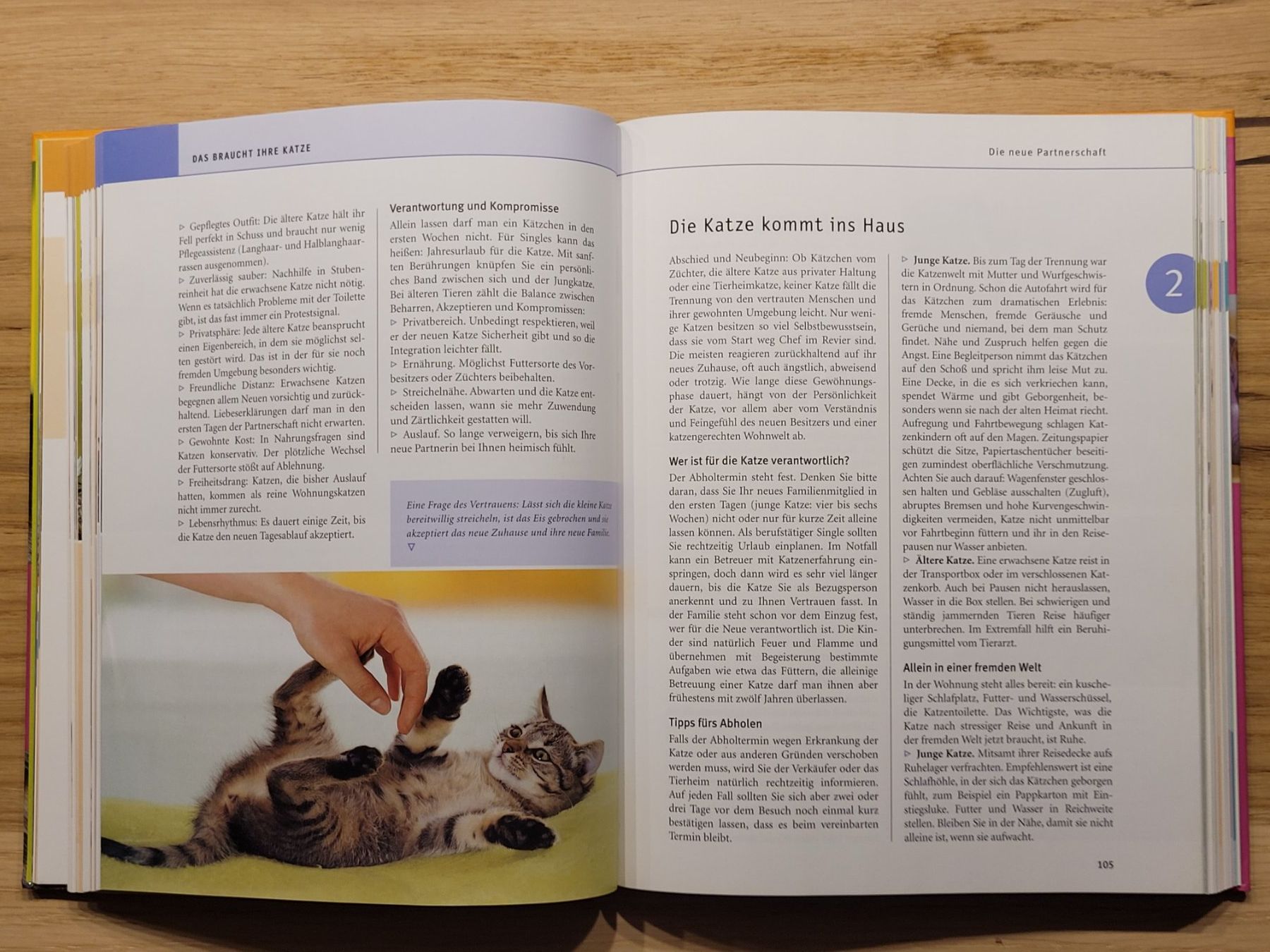 Libri: GU PRAXIS-HANDBUCH KATZEN – Usato da Oetwil am See venduto da swisspeak 5