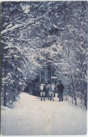 Landwirtschaft/Ochsenfuhrwerk 1910 Innerschweiz