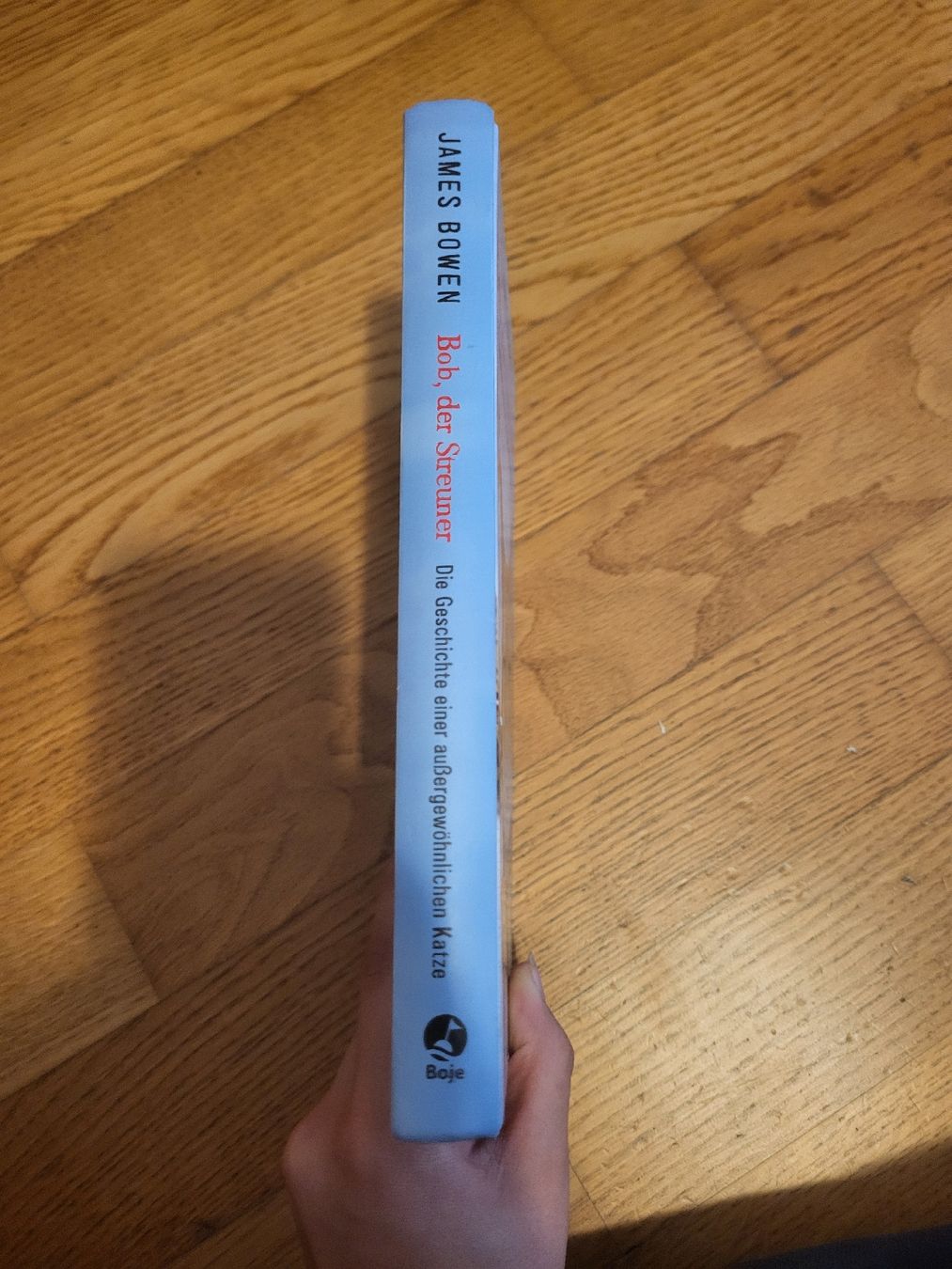 Libri: Bob, der Streuner von James Bowen – Usato da Birmenstorf AG venduto da dou_w2ts 2