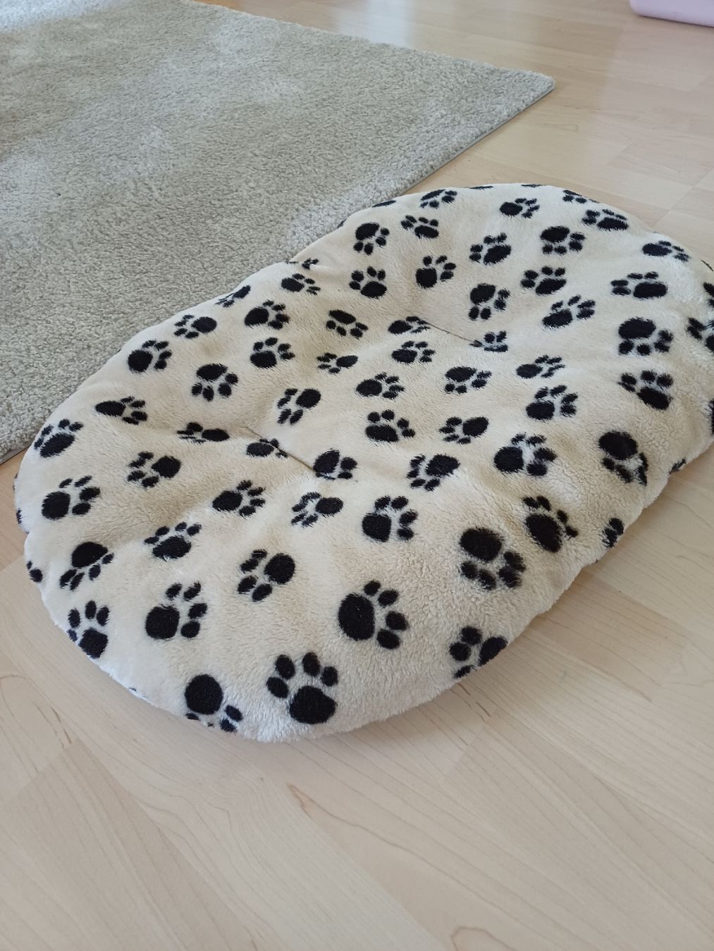 Letti: Hundebett – Usato da Uettligen venduto da den_ydc8 1