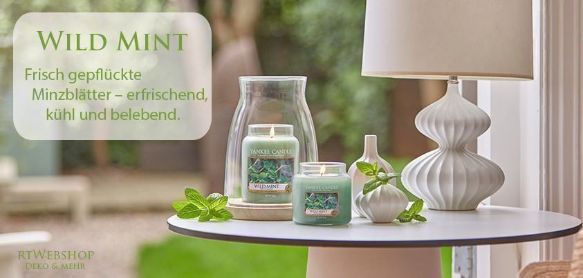 Yankee Candle Kerzen: Yankee Candle Wild Mint large Jar – Neu und originalverpackt aus Langwiesen von rtWebshop 1